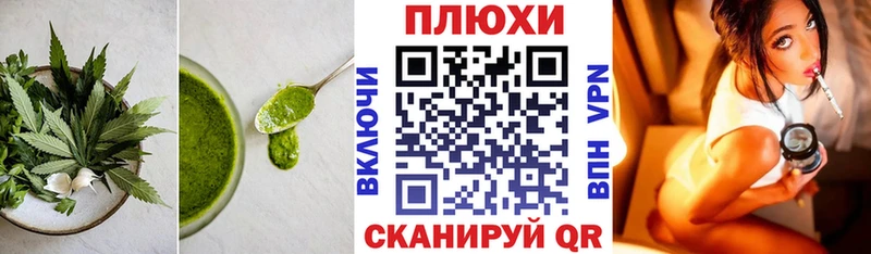 мориарти телеграм  Цоци-Юрт  Cannafood конопля  наркотики 