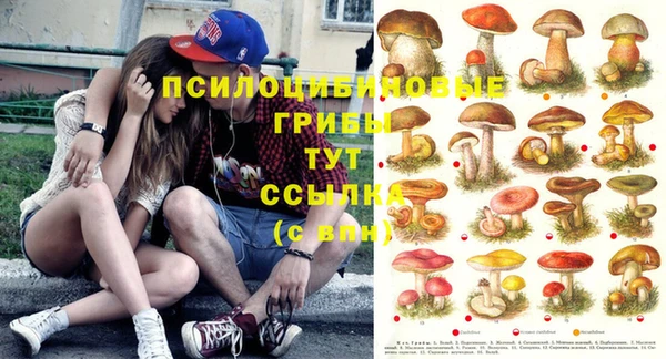 MDMA Белокуриха